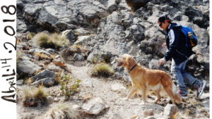 Vídeos de Senderismo